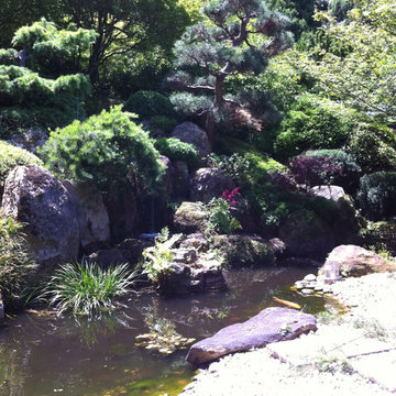 Water features