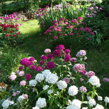 Small Garden Beds