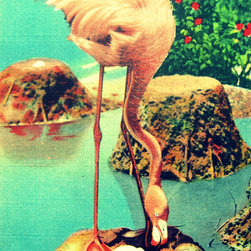 Pink Flamingo Art Print, Flamingo Nursery, Old Florida Art Photograph,  Tropical - Products