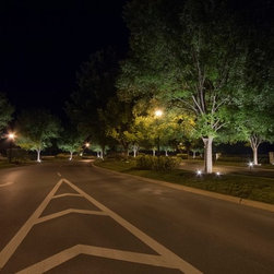 Outdoor Lighting in Westhave - Landscape Lighting