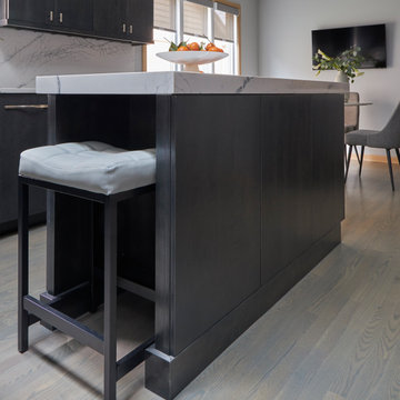 Northbrook Home Renovation for Repeat Client