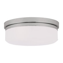 7 Lex Lighting