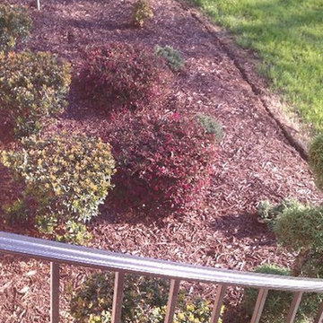Past Landscape Work