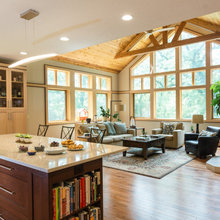 Vaulted Living Rm