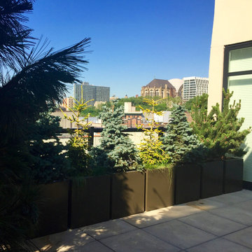 Harlem Rooftop Garden