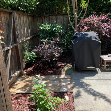 Los Altos | New Small Space Transformed
