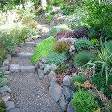 Front_yard