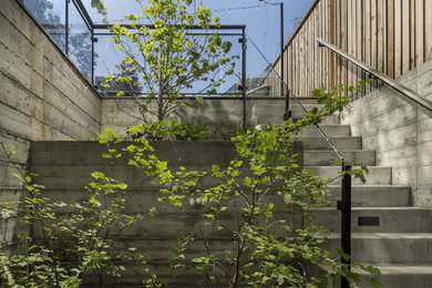 Photo of a transitional wood fence landscaping in San Francisco.