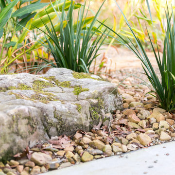 Modern Meadow Garden