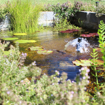 Pond at Entry Way