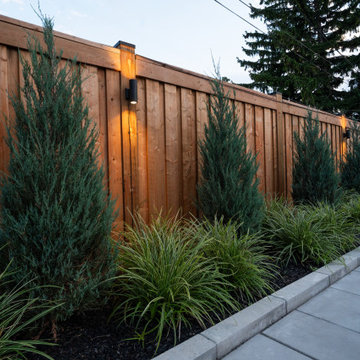 Narrow-Lot Backyard Pool with Paver Deck, Cedar Privacy Fence & Layered Planting