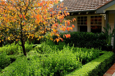 A lush cottage garden