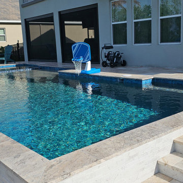 Winter Garden Contemporary