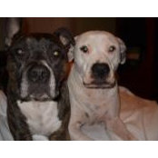 Kim Caufield's photo