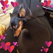Fransi Kaye's photo