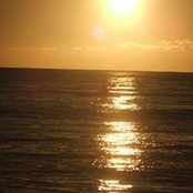 Bobbi Gallina's photo