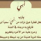 Abd Elazeem Mohammed's photo