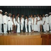Frances Williams's photo