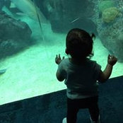 Karina Alvareztorre's photo