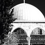 Foto von اسل كبها