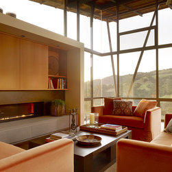 Spark Modern Fires - Indoor Fireplaces
