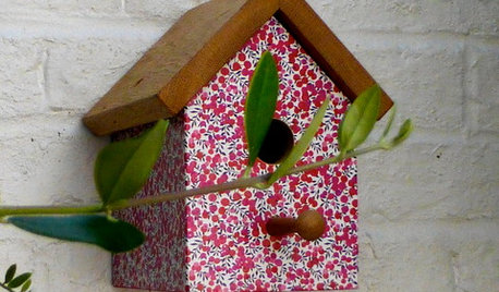 How to Feel Better About Your Late Winter Garden