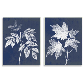 Maple Leaf Elm Stem Vintage Blue White Illustration,2pc, each 13 x 19
