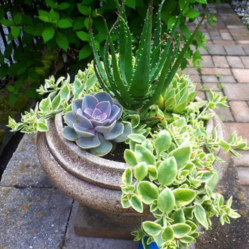 Spring and Summer Planters