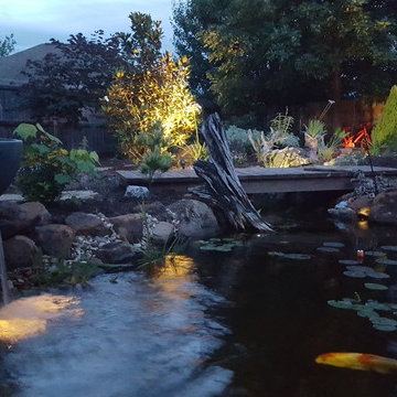 Marilyn's Pond With Waterfalls, a Stream, and a Bog Filter