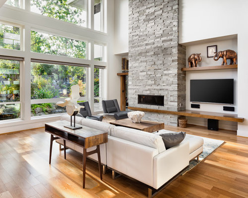 Best Contemporary Living Room Design Ideas & Remodel Pictures | Houzz SaveEmail