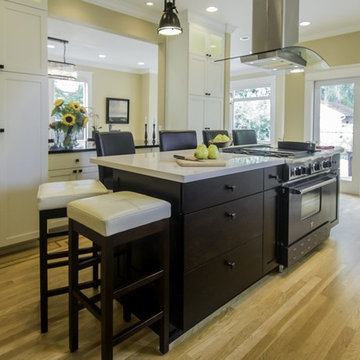 Capitol Hill Kitchen