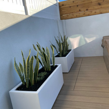 Modern Backyard Remodel - Huntington Beach