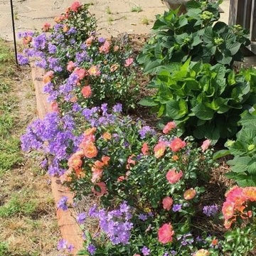 Front Yard Renovation with Style