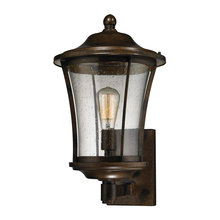 Outdoor lights