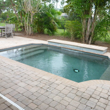 The Charleston Model