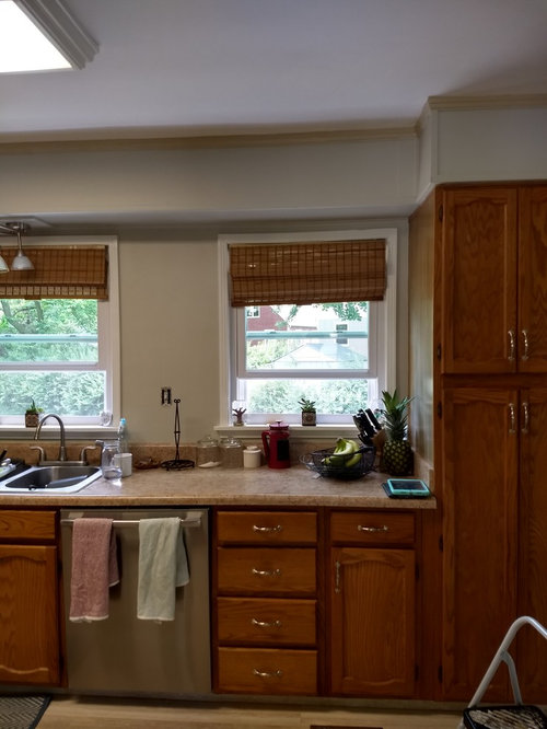 Paint Color Opinions Please