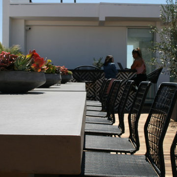 Roof deck & planter boxes/Landscaping.