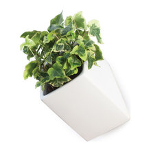 Idea for planter