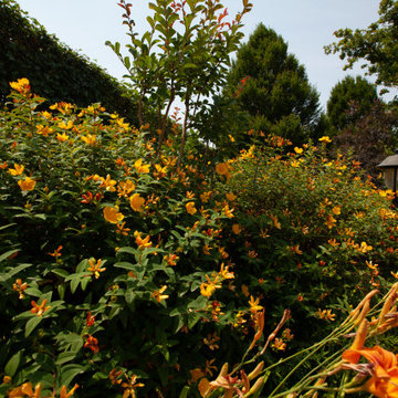 Riprogettare giardino ex casa colonica