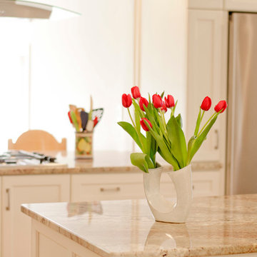 Open Concept Kitchen and Living Area