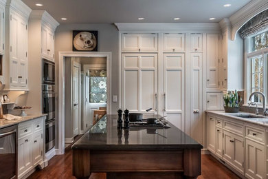 Inspiration for a transitional kitchen remodel in Chicago