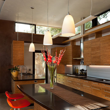 Coyote Residence