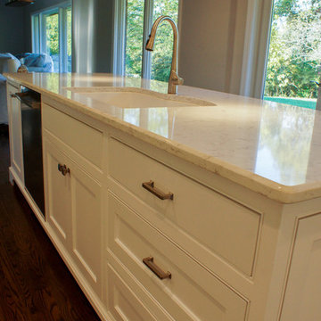 Contemporary Whole Home Remodel