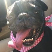 Jason Mickool's photo