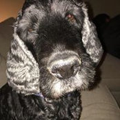 Sandi Kenton's photo