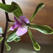Sharon Rigo's photo