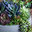 Garden Street & company