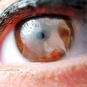 Sabrina Giussani's photo