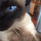 Paul Clissold's photo