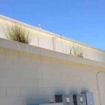 Gutter and downspout cleaning